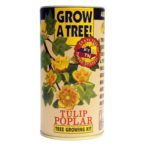 Tulip Poplar Grow Kit
